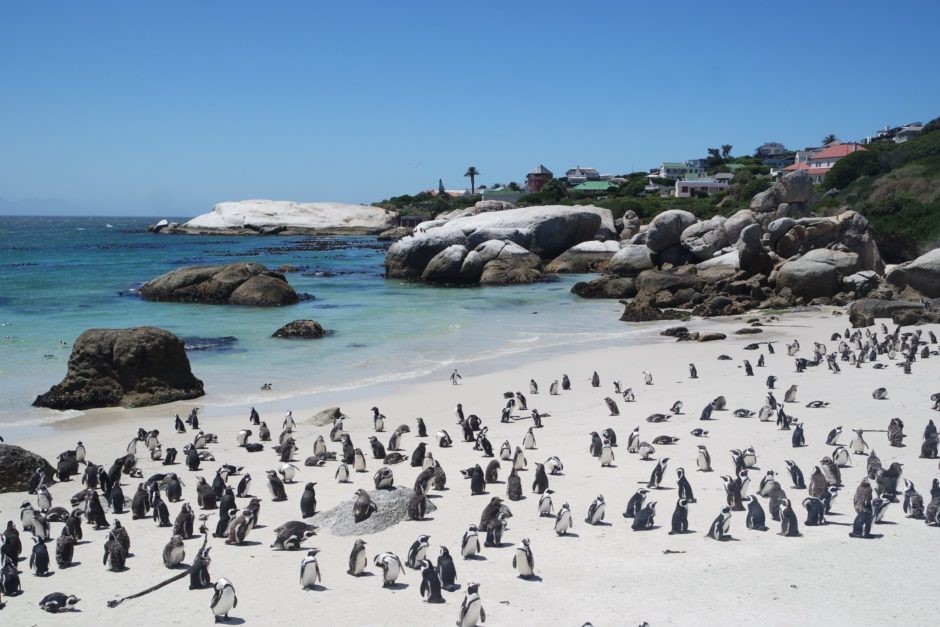 boulders beach