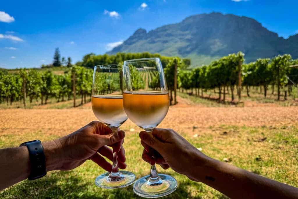 wine farms