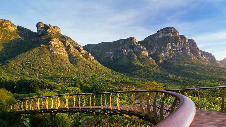 kirstenbosch